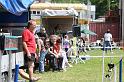 Bild 491
